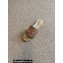 Gucci GG matelassé Canvas Espadrilles Slides 2022