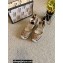 Gucci GG matelassé Canvas Platform 10cm Espadrilles 2022