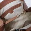 Gucci Soho Tassel Leather Shoulder Bag 282309 Brown