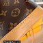 Louis Vuitton Monogram canvas Nano Noé Bag M81266