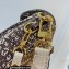 Louis Vuitton Calfskin Leather Swing Bag Pattern