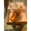 Louis Vuitton Epi Leather Cluny Mini Bag M58931 Gold Miel