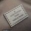 Louis Vuitton Damier Graphite canvas Scott Messenger Bag N50018