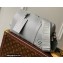 Louis Vuitton Aerogram leather City Keepall Bag M59328 Gray