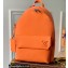 Louis Vuitton Aerogram leather New Backpack Bag Orange