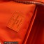 Louis Vuitton Aerogram leather New Backpack Bag Orange