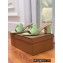 Loro Piana Heel 8cm Suede Goatskin Summer Charms Sandals Light Green
