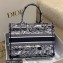 Dior Medium Book Tote Bag in Navy Blue Toile de Jouy Stripes Embroidery 2022