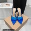 Gianvito Rossi Heel 10.5cm TPU Plexi ELLE Mules PVC Blue 2022