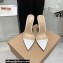 Gianvito Rossi Heel 10.5cm TPU Plexi ELLE Mules PVC White 2022