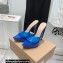 Gianvito Rossi Heel 13.5cm Platform 3cm TPU Plexi BETTY Mules PVC Blue 2022