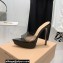 Gianvito Rossi Heel 13.5cm Platform 3cm TPU Plexi BETTY Mules PVC Black 2022
