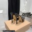Gianvito Rossi Heel 13.5cm Platform 3cm TPU Plexi BETTY Mules PVC Black 2022