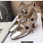 Dior Heel 7cm Calfskin D-Doll Pumps with Ankle Strap Silver 2022