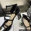 Dior Heel 6.5cm Patent Calfskin La Parisienne Ballerina Flats Black 2022