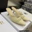 Dior Heel 6.5cm Mesh Cannage Embroidery Capture Mules Creamy 2022