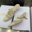 Dior Heel 6.5cm Mesh Cannage Embroidery Capture Mules Creamy 2022
