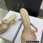 Dior Heel 6.5cm Mesh Cannage Embroidery Capture Mules Nude 2022