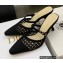 Dior Heel 6.5cm Mesh Cannage Embroidery Capture Mules Black 2022