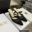 Dior Heel 6.5cm Mesh Cannage Embroidery Capture Mules Black 2022