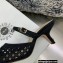 Dior Heel 6.5cm Mesh Cannage Embroidery Capture Mules Black 2022