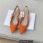 Dior J'Adior Slingback Ballerina Flats in Cotton Embroidery Orange 2022