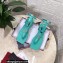 Dolce & Gabbana Nappa leather DG thong sandals Light Green with Ankle Strap 2022