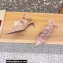 Valentino Heel 4.5cm Roman Stud Pumps With Enameled Studs Nude 2022