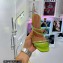 Amina Muaddi Heel 9.5cm Crystals Naima Sandals Satin Green 2022