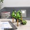 Tom Ford Heel 10.5cm Leather Chain Ankle Strap Sandals Mirror Light Green 2022