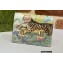 Gucci 1955 Horsebit Card Case Wallet 621887 Tiger Print
