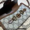 Gucci Horsebit 1955 Mini Bag 699296 GG Canvas Brown