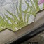Gucci Horsebit 1955 Mini Bag 677266 Tiger Print