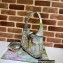 Gucci Jackie 1961 Small Hobo Bag 636709 Tiger Print