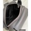 Loewe XS Military Crossbody Bag Gray 2022