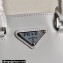 Prada Small brushed leather tote Bag 1BA331 Light Gray 2022