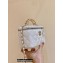 Chanel Vanity Case Bag with Chain Handle AP2805 in Original Quality Grained Calfskin White 2022