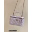 Chanel Vanity Case Bag with Chain Top Handle AP2199 in Original Quality Lambskin Cherry Pink 2022