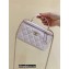 Chanel Vanity Case Bag with Chain Top Handle AP2199 in Original Quality Lambskin Cherry Pink 2022