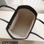 Celine LARGE SQUARE Bag in Textile with CELINE print And Calfskin 2022