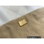 Chanel Shiny Calfskin CHANEL 22 Medium Handbag AS3261 in Original Quality White/Gold 2022