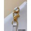 Chanel Shiny Calfskin CHANEL 22 Medium Handbag AS3261 in Original Quality White/Gold 2022