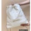Chanel Shiny Calfskin CHANEL 22 Backpack Bag AS3313 in Original Quality White/Gold 2022
