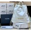Chanel Shiny Calfskin CHANEL 22 Backpack Bag AS3313 in Original Quality White/Gold 2022