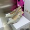 Dior Heel 6.5cm J'Adior Slingback Pumps in Cotton Embroidery with Thread and Strass Gold 2022