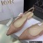 Dior J'Adior Slingback Ballerina Flats in Cotton Embroidery with Thread and Strass Nude Pink 2022