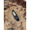 Chanel Printed Denim and Grosgrain Espadrilles G39028 Black 2022