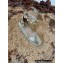 Valentino Grainy Calfskin Double Rockstud Wedge Espadrilles Metallic Gold