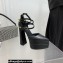 Versace Heel 15cm Platform 5.5cm Leather Pointy Pumps Black 2022