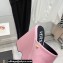 Versace Heel 16cm Platform 6.5cm Triplatform Mules Leather Pink 2022